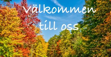 Det händer i kyrkan