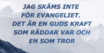Romarbrevet i fokus