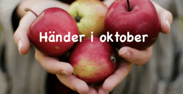 Välkomna till kyrkan!